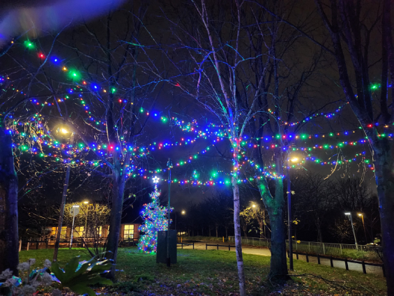 lights