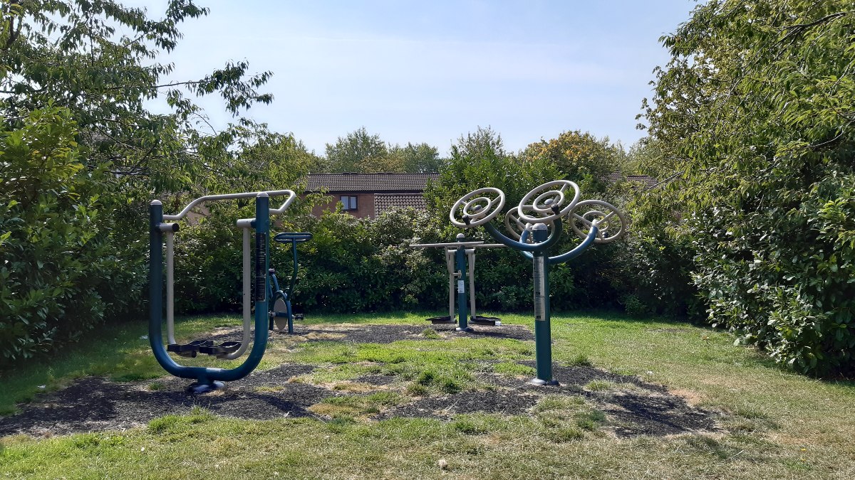 Adult Exercise Machines