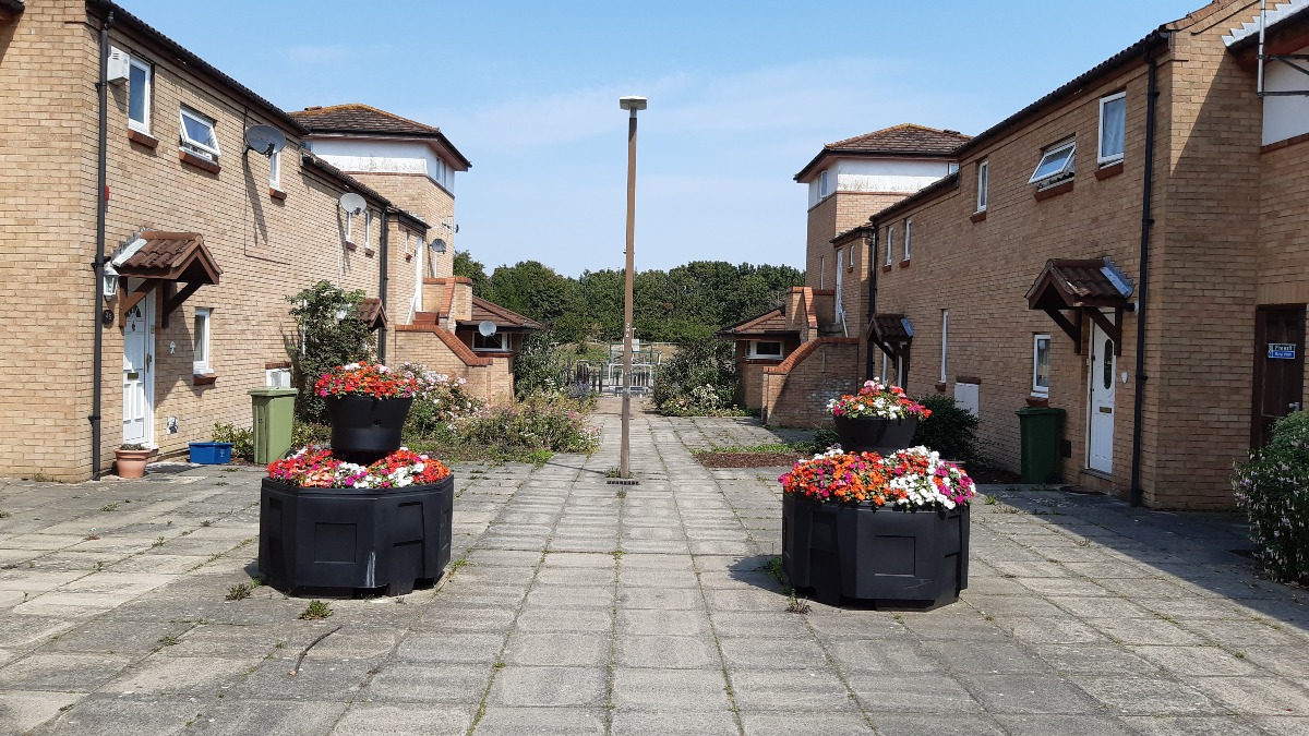 Flowers on way to park