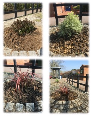 TREE PITS REFURBISHED