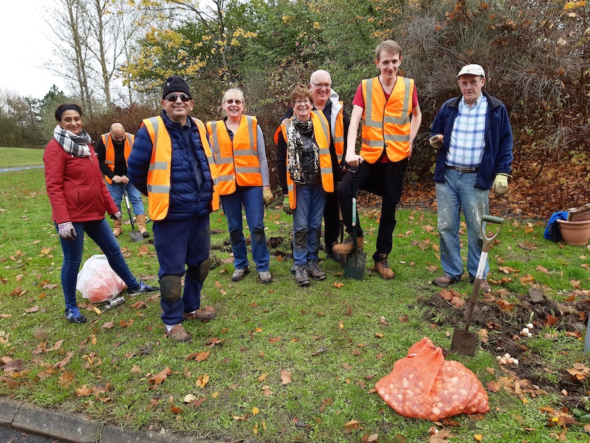 BULB PLANTING 2