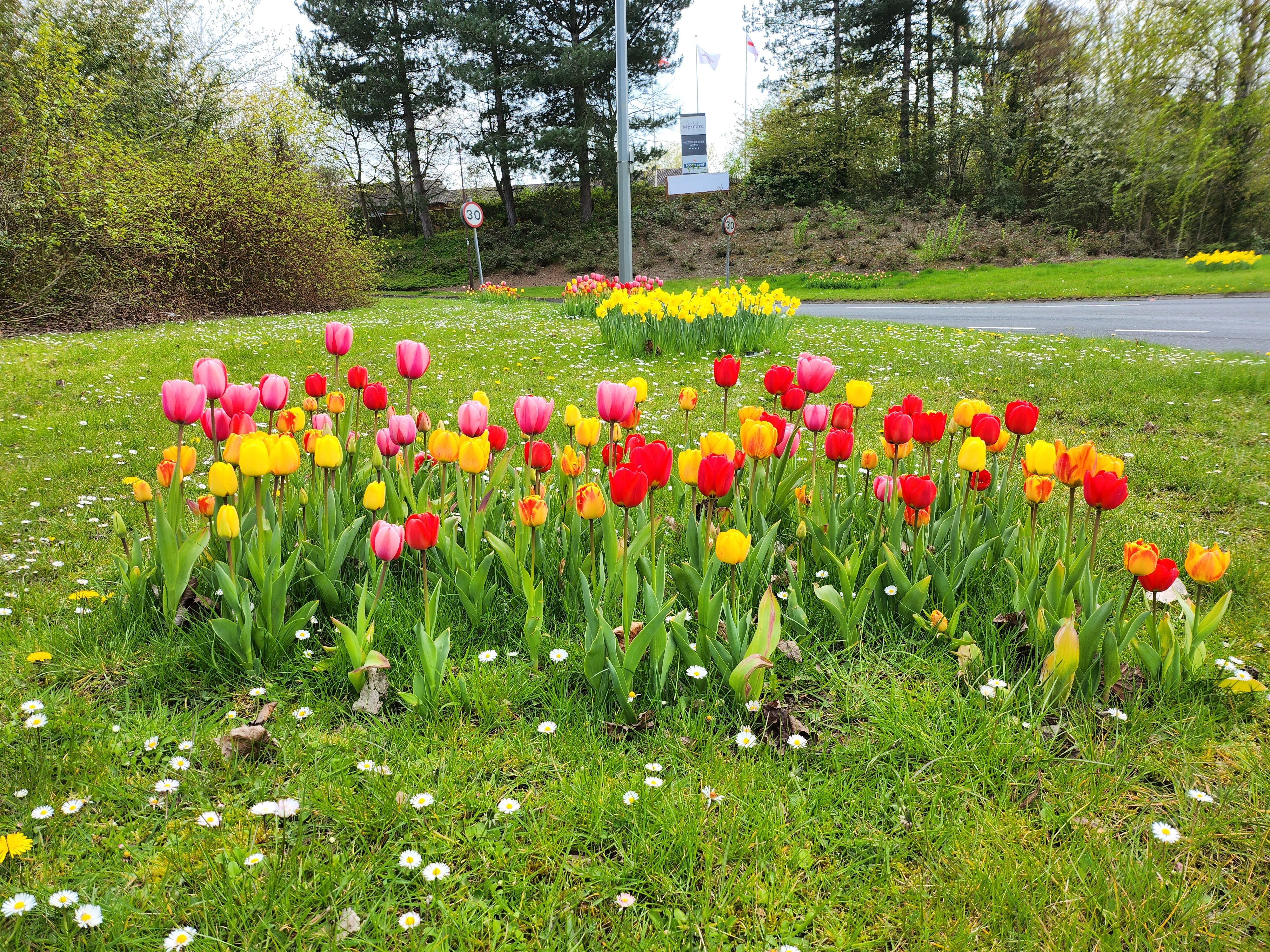 Bulb Planting Success
