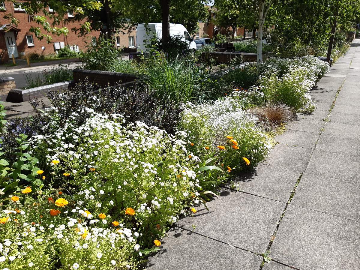 Community Garden Volunteers Needed