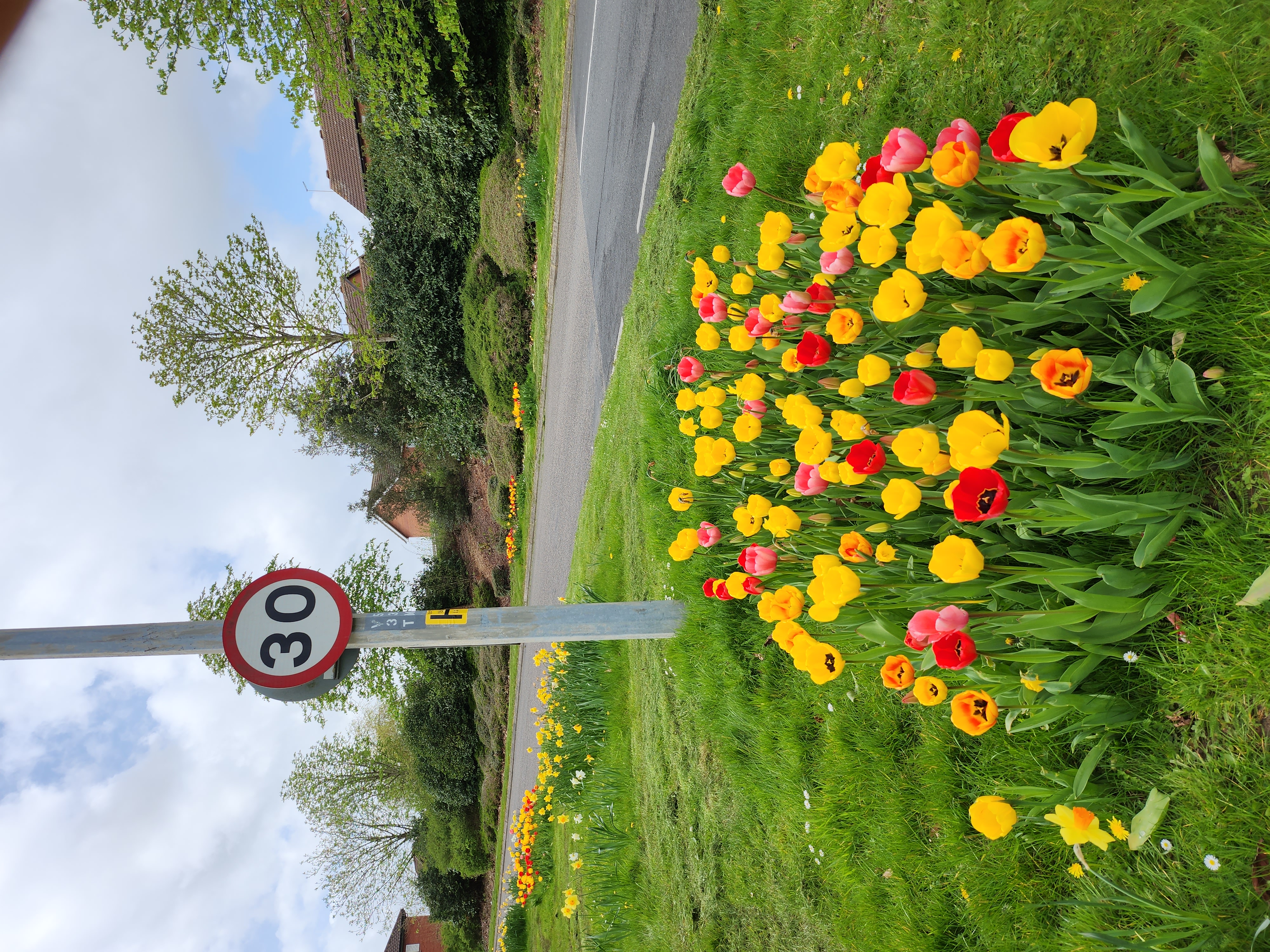 2023/24 Bulb Planting Success