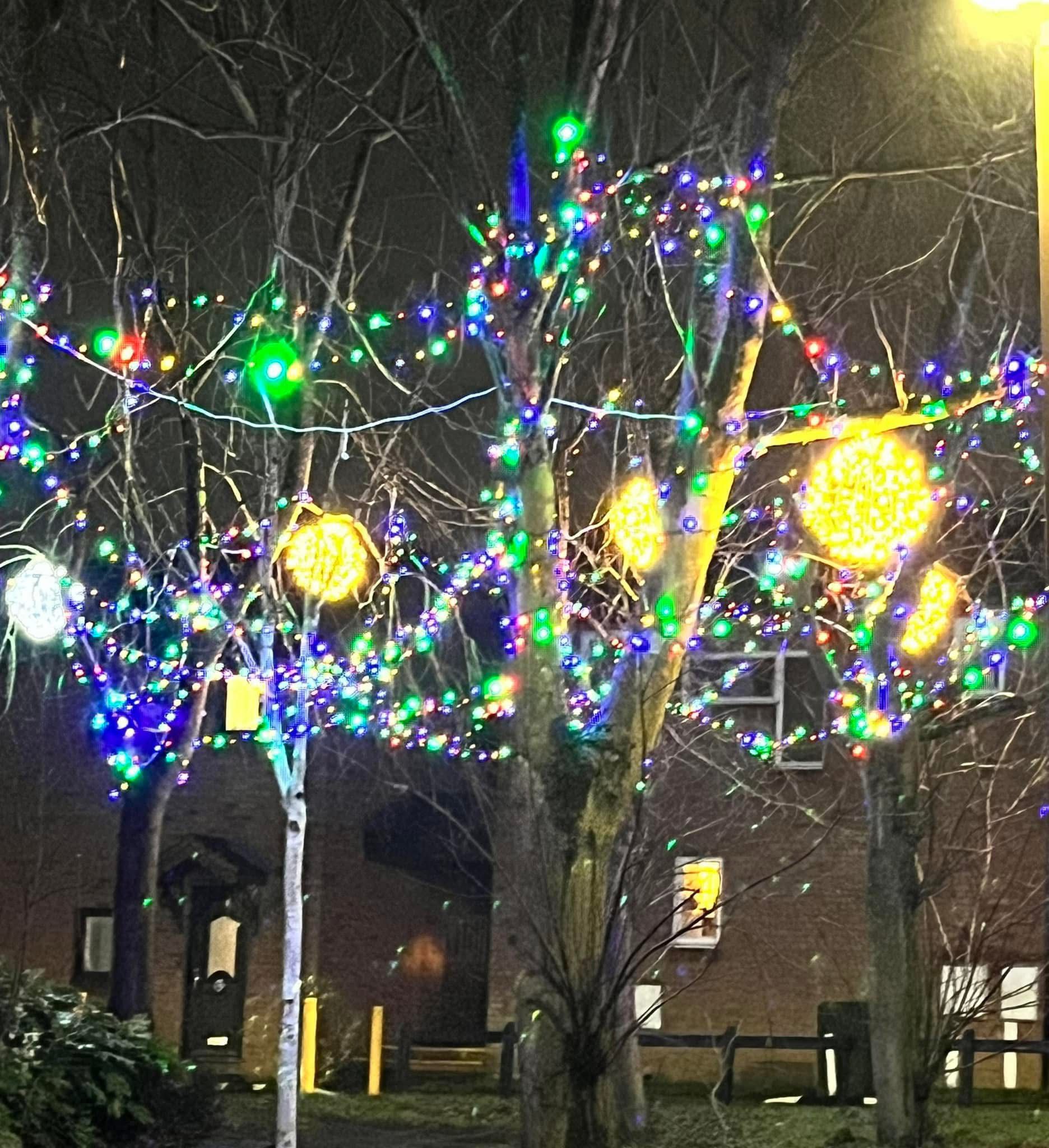 New Festive Lights for Two Mile Ash
