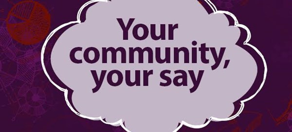 Community Governance Review